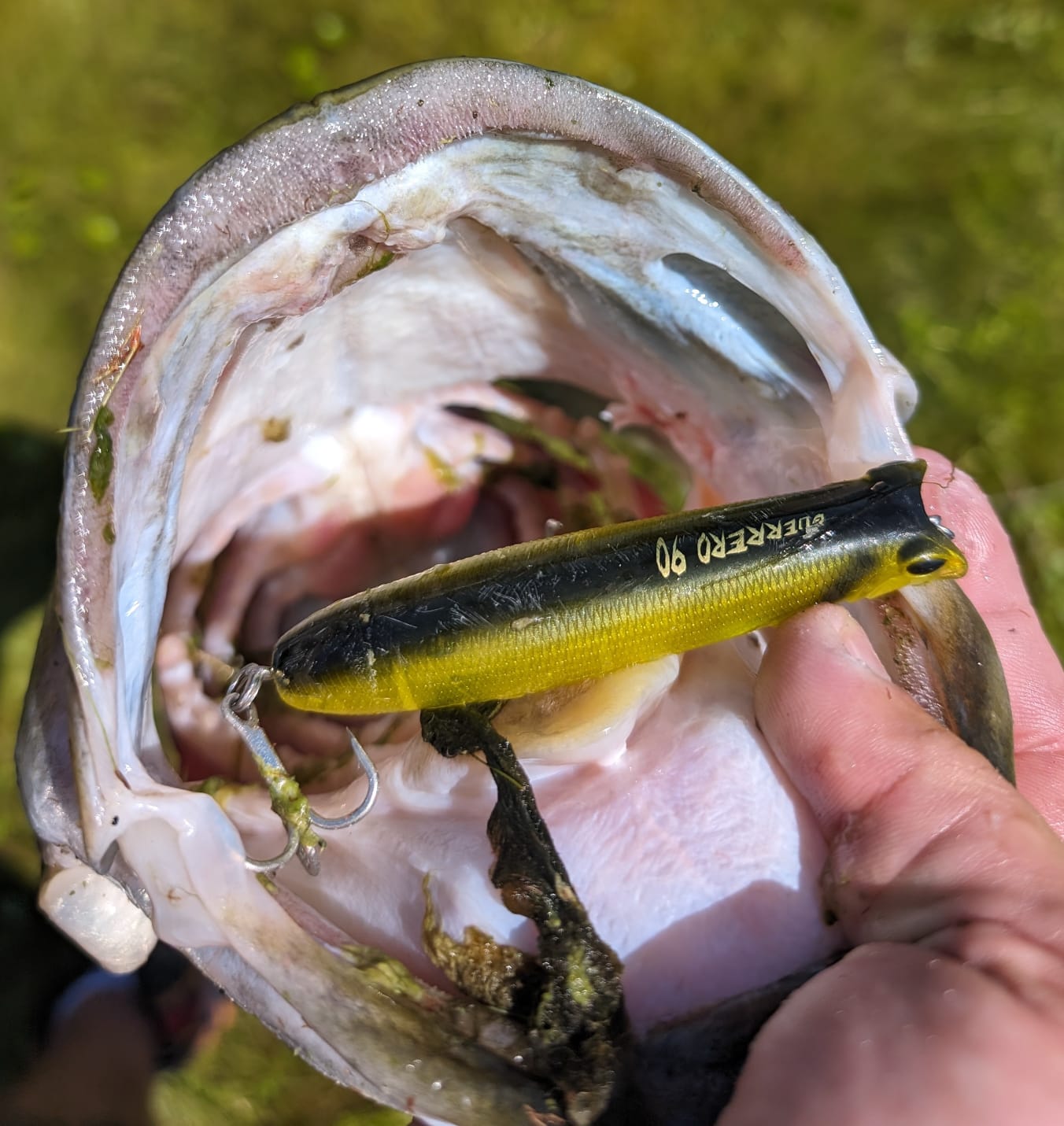 Guerrero 90 Topwater Fishing Lure